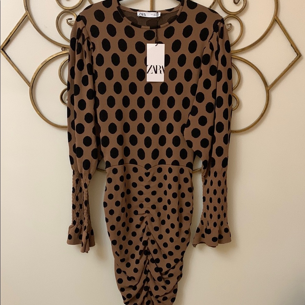 Zara Brown Polka Dot Dress